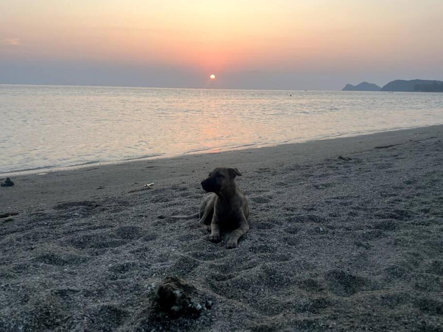 Sunset Serenity Cove Ko Pha Ngan Exterior foto